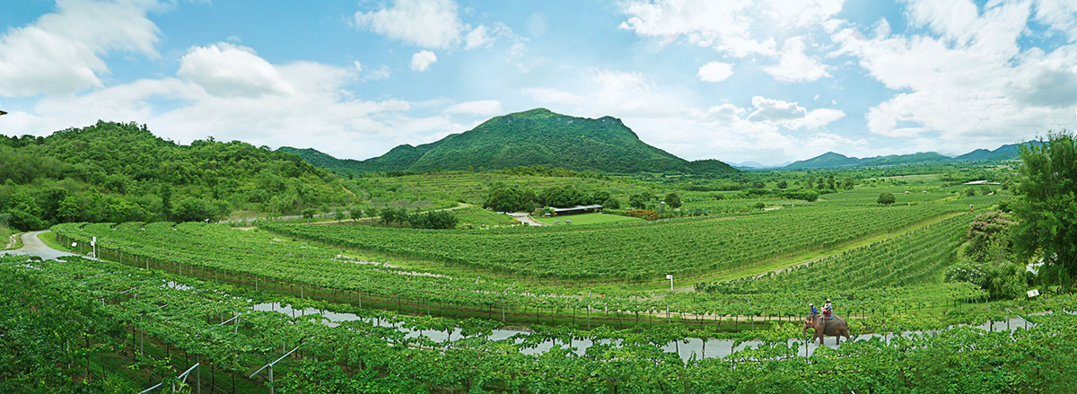 mountain_crops_gerrn.jpg